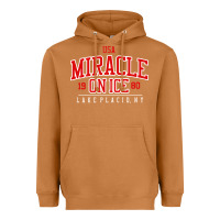 Meerkat miracle on ice Heavyweight Hoodie - linhVisuals