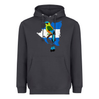 Smoke nicaragua guardabarranco, nicaragua t shirt Heavyweight Hoodie - linhVisuals