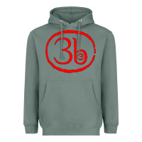 Sage Third Eye Blind Classic Heavyweight Hoodie - linhVisuals