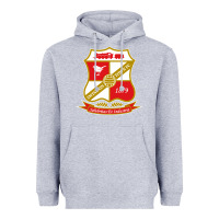 Heather Grey the swindon Heavyweight Hoodie - linhVisuals
