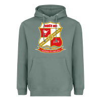 Sage the swindon Heavyweight Hoodie - linhVisuals