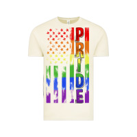 Vintage Arctic lgbtq pride american flag Vintage Tee - FaDigitalArtStudio