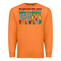 Carrot birthday boy to level up Premium Sweatshirt - JahusDesignShop