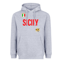 Heather Grey sicily Heavyweight Hoodie - baoMotion