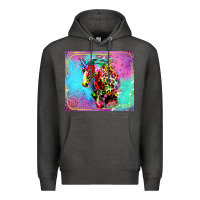 Charcoal Heather Colorful Unicorn Horse Premium Hoodie - LillyAllenDesigns