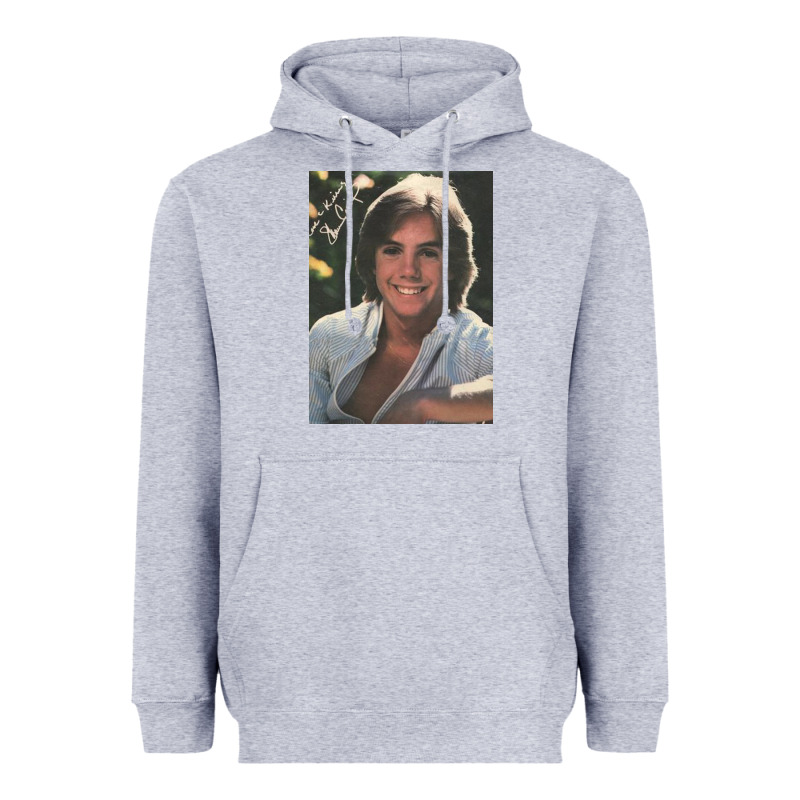 Shaun Cassidy Heavyweight Hoodie by baoMotion | Teevron