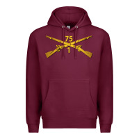 1st Bn 75th Infantry Regiment Ranger Branch Wo Txt Premium Hoodie | Teevron