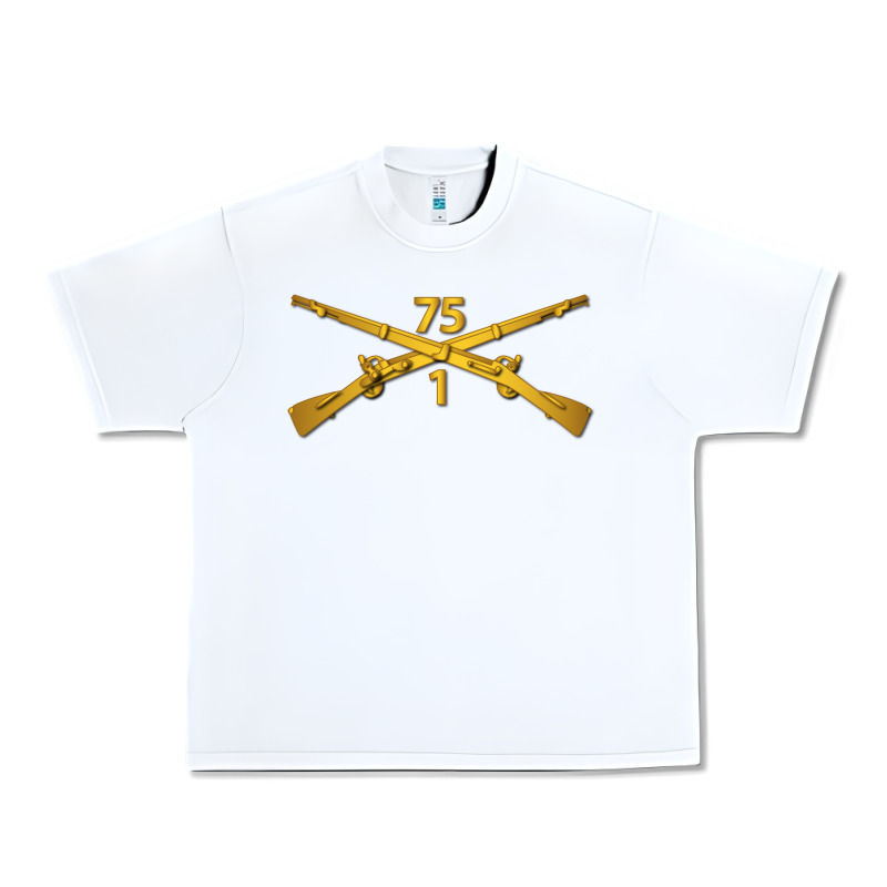 1st Bn 75th Infantry Regiment Ranger Branch Wo Txt Urban Heavy Tee by maiPhamDesign | Teevron