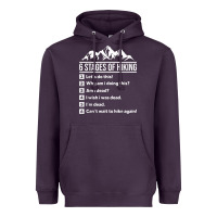 Plum hiking 6 stages of hiking funny hiking nature adventure Heavyweight Hoodie - baoMotion