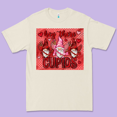 Hey There Cupids With Gnomies Tumbler Premium Tee Designed By Howdyjamesfarm