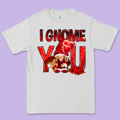 I Gnome You With Roses Valentine's Day Premium Tee Designed By Howdyjamesfarm