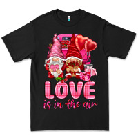 Black Love is in the air with gnomies Valentine's Day Premium Tee - HowdyJamesFarm