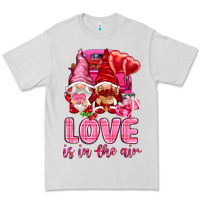Dove Grey Love is in the air with gnomies Valentine's Day Premium Tee - HowdyJamesFarm