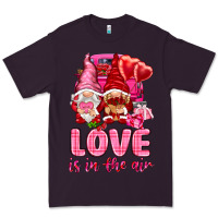 Love Is In The Air With Gnomies Valentine's Day Premium Tee | Teevron