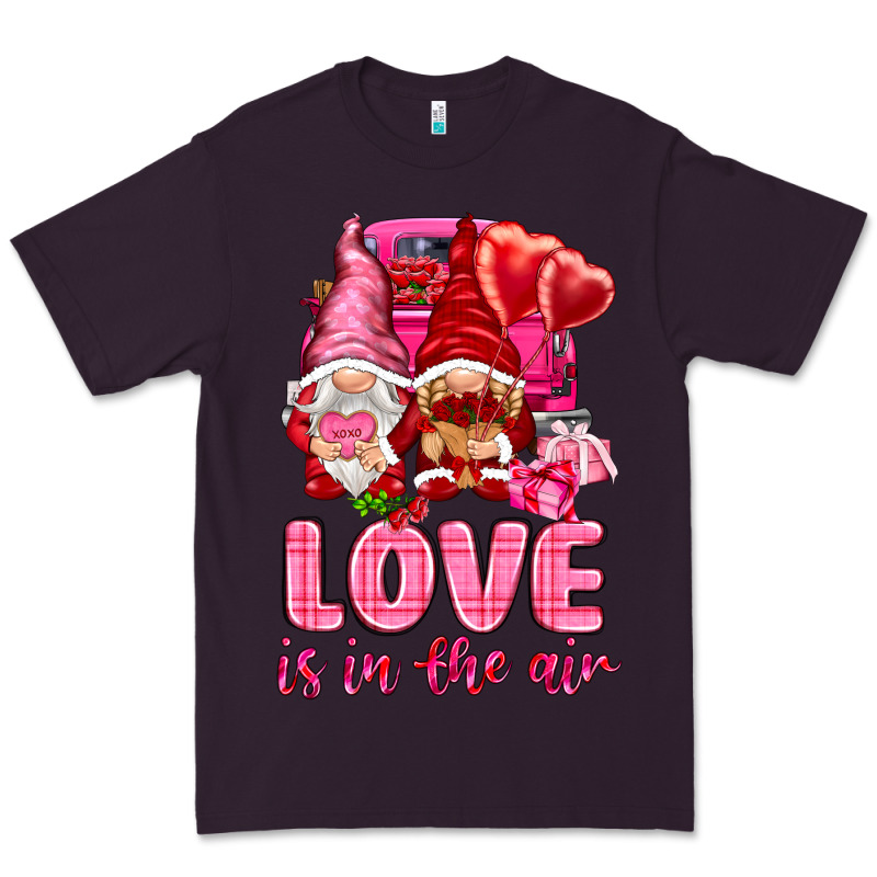 Love Is In The Air With Gnomies Valentine's Day Premium Tee by HowdyJamesFarm | Teevron