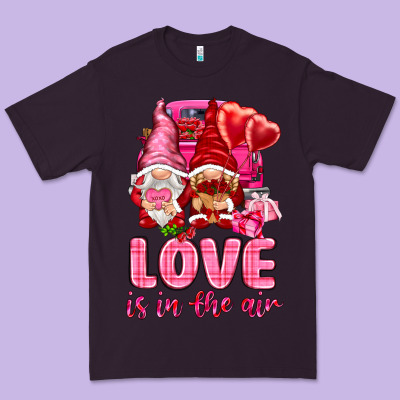 Love Is In The Air With Gnomies Valentine's Day Premium Tee Designed By Howdyjamesfarm