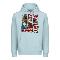 Blue Mist Red White Rawr Dinosaur T-Rex Premium Hoodie - LillyAllenDesigns