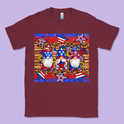 American Flag Gnomes Star Leopard Glitter Tumbler Classic Tee Designed By Artiststas