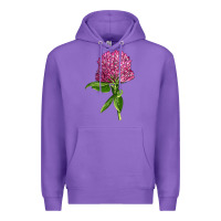 Purple Red Clover Illustrations Premium Hoodie - LillyAllenDesigns