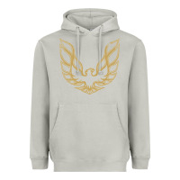 Moon Dust Trans Am Heavyweight Hoodie - maiPhamDesign