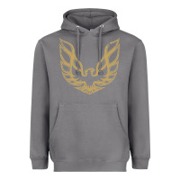 Storm Trans Am Heavyweight Hoodie - maiPhamDesign