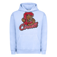 Pigment Grape Ice cornell Urban Hoodie - DesignPulse