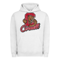 Pigment Lunar Rock cornell Urban Hoodie - DesignPulse