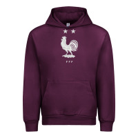 Fff Two Stars Urban Hoodie | Teevron