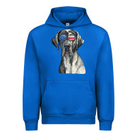 Cobalt great dane sunglasses american usa flag 4th of july fourth t shirt Urban Hoodie - InspiraDesign