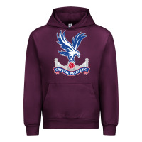 The-crystal-palace-f.c.-cool Urban Hoodie | Teevron