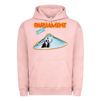 Pigment Salmon parliament Urban Hoodie - ArtChic