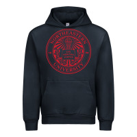 Navy Northeastern University Urban Hoodie - ArtChic