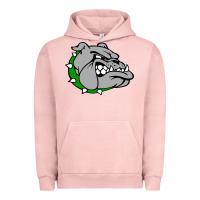 Pigment Salmon ashville high school, ashville bulldogs Urban Hoodie - PixelFlow