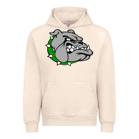 Sandshell ashville high school, ashville bulldogs Urban Hoodie - PixelFlow