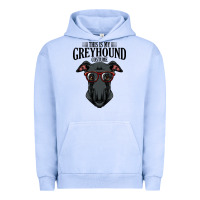 Pigment Grape Ice greyhound t  shirt greyhound t  shirt (3) Urban Hoodie - PixelFlow