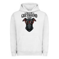Pigment Lunar Rock greyhound t  shirt greyhound t  shirt (3) Urban Hoodie - PixelFlow