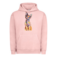 Pigment Salmon Colorful Cat Urban Hoodie - PixelFlow