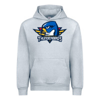 Heather Grey springfield thunderbirds Urban Hoodie - ArtMosaic