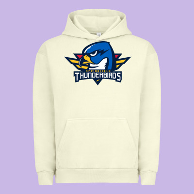 Springfield Thunderbirds Urban Hoodie Designed By Artmosaic