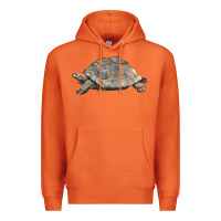 Carrot Tortoise Illustrations Premium Hoodie - LillyAllenDesigns