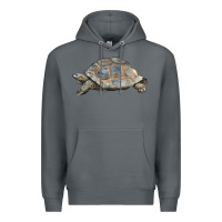 Rock Tortoise Illustrations Premium Hoodie - LillyAllenDesigns
