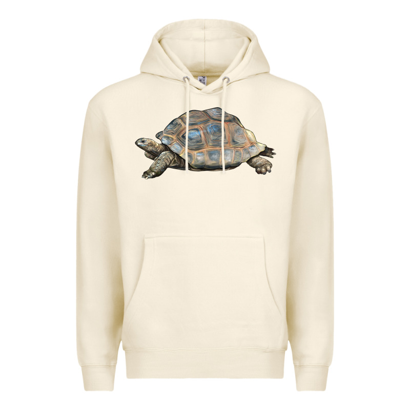 Tortoise Illustrations Premium Hoodie by LillyAllenDesigns | Teevron
