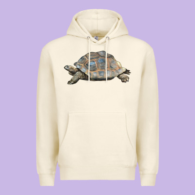 Tortoise Illustrations Premium Hoodie Designed By Lillyallendesigns