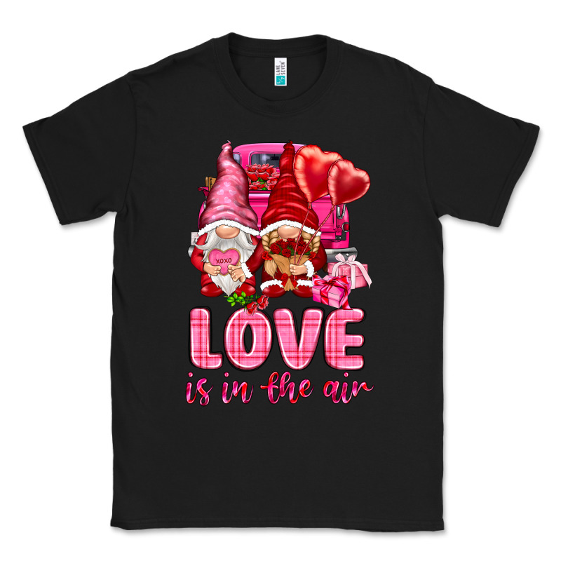 Love Is In The Air With Gnomies Valentine's Day Classic Tee by HowdyJamesFarm | Teevron