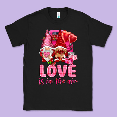 Love Is In The Air With Gnomies Valentine's Day Classic Tee Designed By Howdyjamesfarm