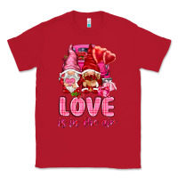 Red Love is in the air with gnomies Valentine's Day Classic Tee - HowdyJamesFarm