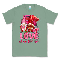 Sage Love is in the air with gnomies Valentine's Day Classic Tee - HowdyJamesFarm