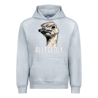Heather Grey letterkenny allegedly ostrich funny Urban Hoodie - artisFamous
