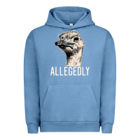 Pigment Pebble Blue letterkenny allegedly ostrich funny Urban Hoodie - artisFamous