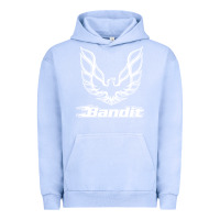 Pigment Grape Ice bandit Urban Hoodie - artisFamous